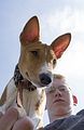 Basenji KSM Muenster 2014 (1123)